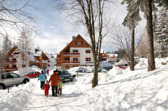 Antela, 142 M2 Appartment For 12 Person In Mariborsko Pohorje Hočko Pohorje Eksteriør billede